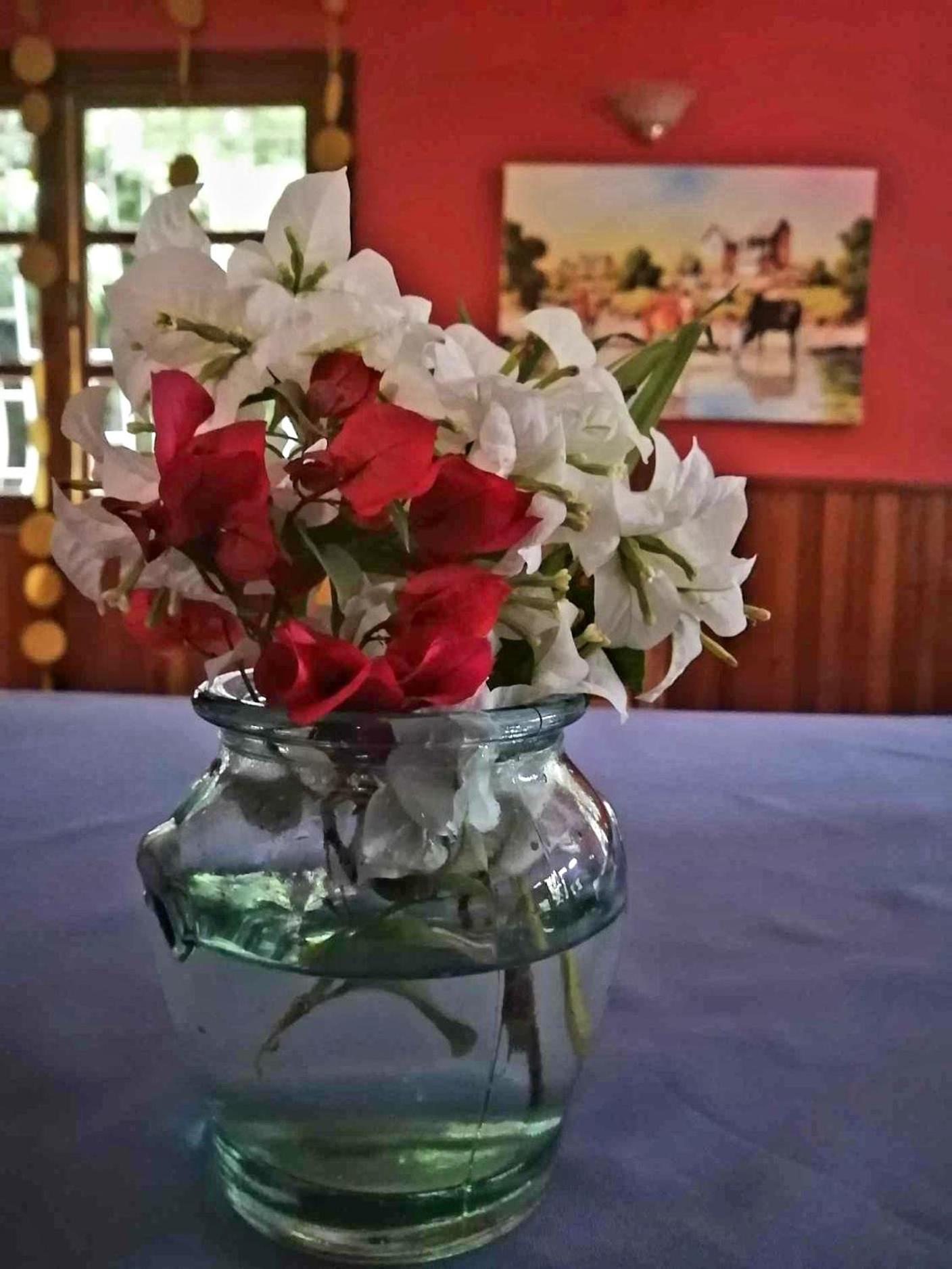 Badiane B&B, By L'anis Etoilé Antsirabe Exterior foto